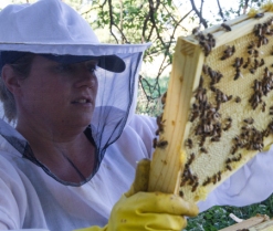 Bee keeper with frame.